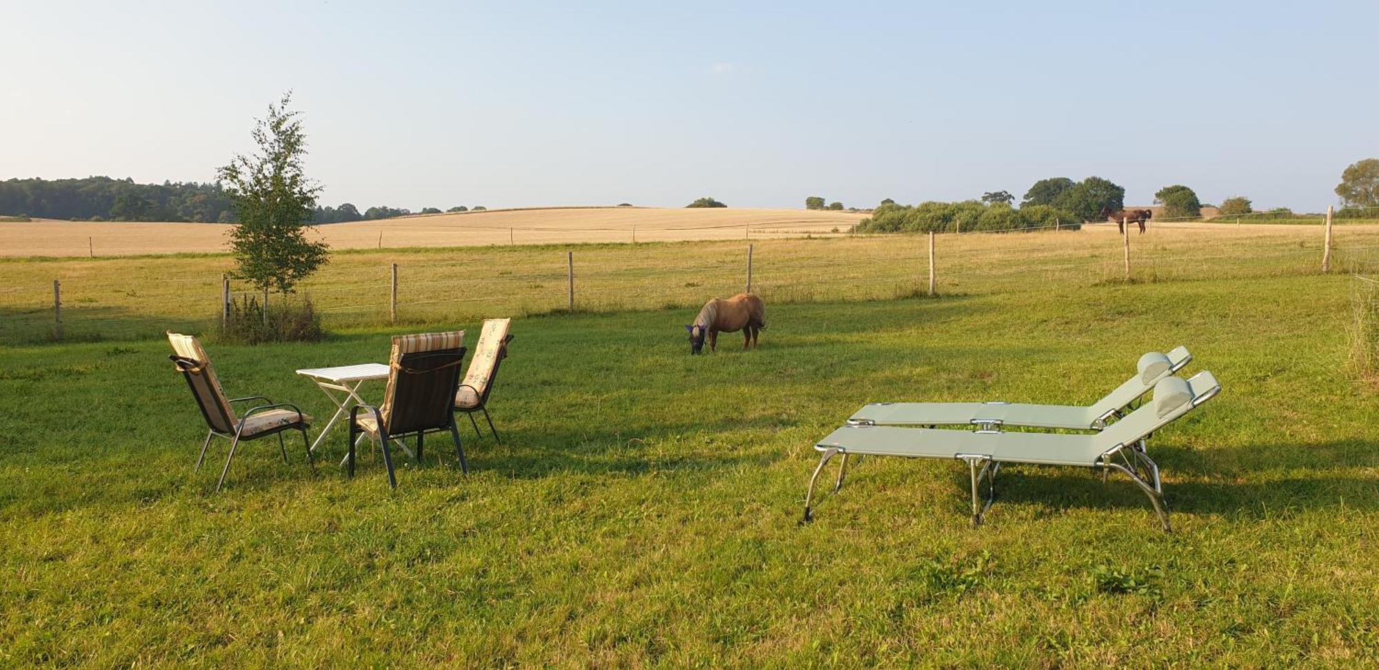 Der Kleine Fuchshof Mit Hund, Pferd Und Huhn Apartment Rathlau Exterior photo